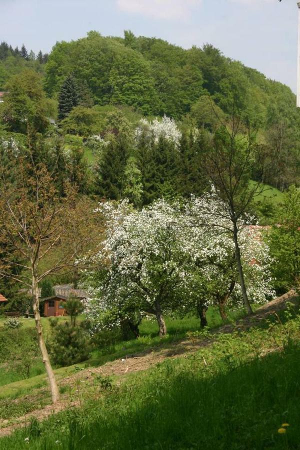 Ober-Hambach Talblick Appartement In Traumhafter Lage! מראה חיצוני תמונה