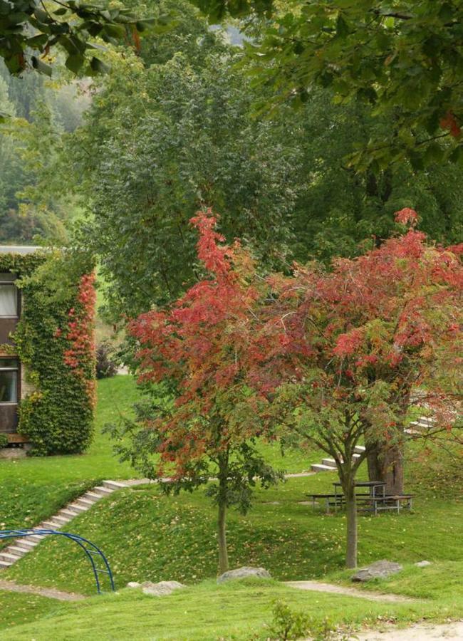 Ober-Hambach Talblick Appartement In Traumhafter Lage! מראה חיצוני תמונה